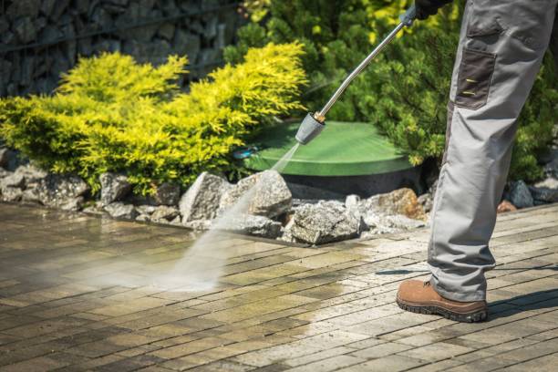 Best Dumpster Area Cleaning  in Myrtle Grove, FL